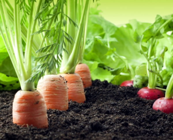 agriculture3