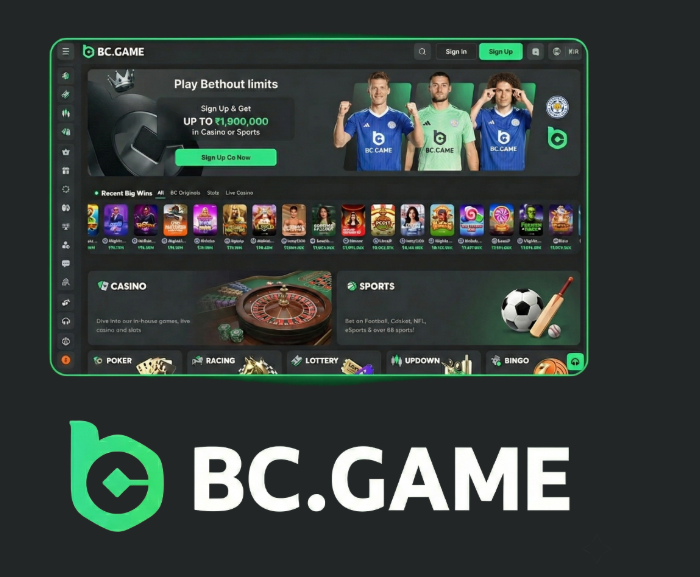 Experience the Thrill of BC.Game Casino in the USA -341719776 Experience the Thrill of BC.Game Casino in the USA -341719776